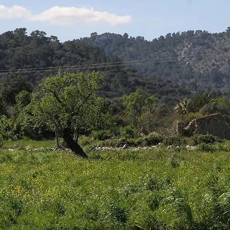 Traditional Majorcan By Renthousing Holiday home